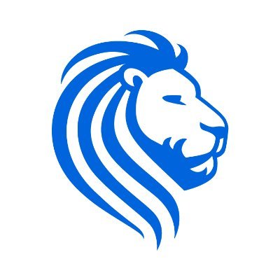 Customer Service Advisor